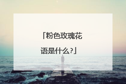 粉色玫瑰花语是什么?