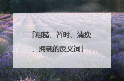 粗糙、暂时、清瘦、拥戴的反义词