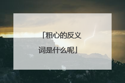 粗心的反义词是什么呢