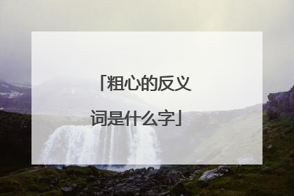 粗心的反义词是什么字
