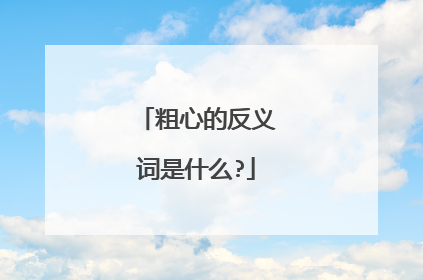 粗心的反义词是什么?