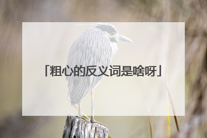 粗心的反义词是啥呀