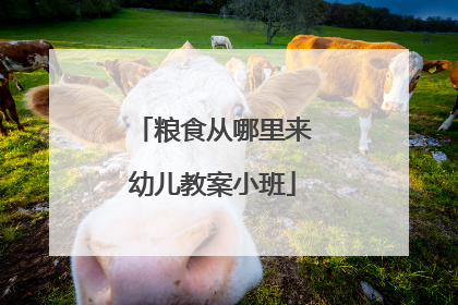 粮食从哪里来幼儿教案小班