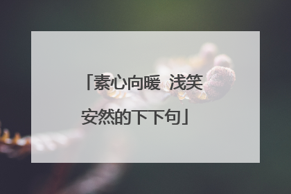 素心向暖 浅笑安然的下下句