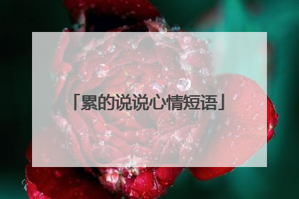 累的说说心情短语