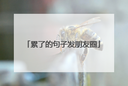 累了的句子发朋友圈