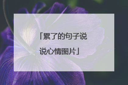 累了的句子说说心情图片