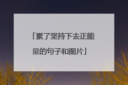累了坚持下去正能量的句子和图片