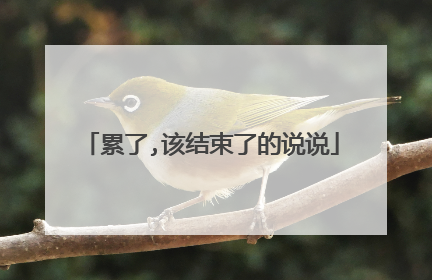 累了,该结束了的说说