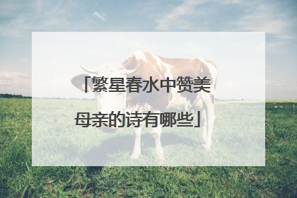 繁星春水中赞美母亲的诗有哪些