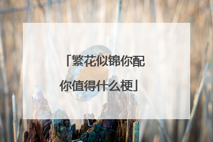 繁花似锦你配你值得什么梗