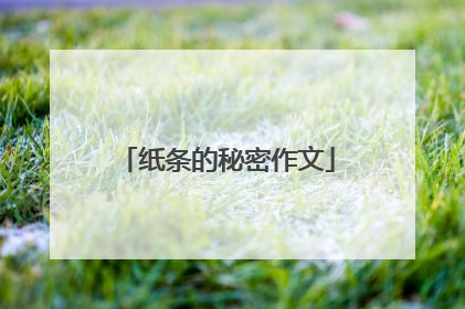 纸条的秘密作文