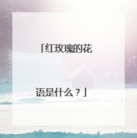 红玫瑰的花语是什么?