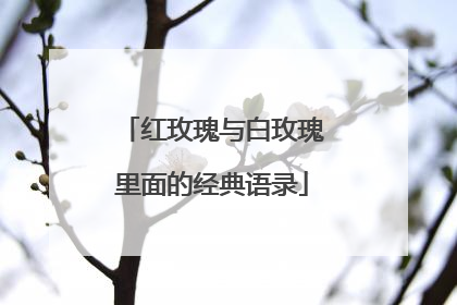 红玫瑰与白玫瑰里面的经典语录