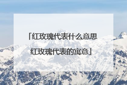 红玫瑰代表什么意思 红玫瑰代表的寓意