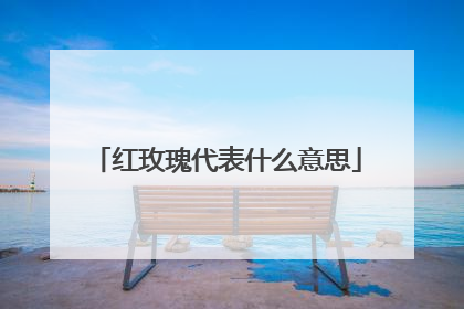 红玫瑰代表什么意思
