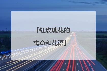 红玫瑰花的寓意和花语