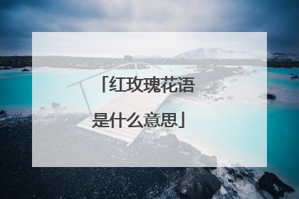 红玫瑰花语是什么意思