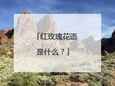 红玫瑰花语是什么?