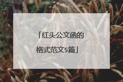 红头公文函的格式范文5篇
