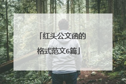 红头公文函的格式范文6篇