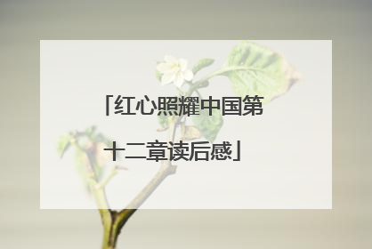 红心照耀中国第十二章读后感