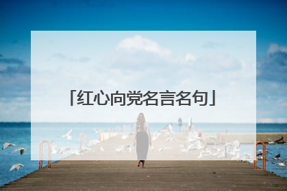 红心向党名言名句