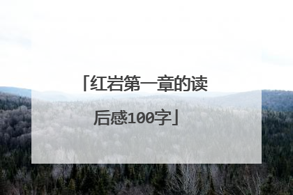 红岩第一章的读后感100字