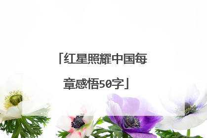 红星照耀中国每章感悟50字