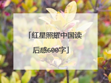 红星照耀中国读后感600字