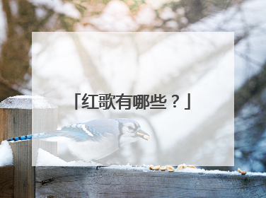红歌有哪些？