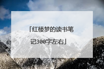 红楼梦的读书笔记300字左右