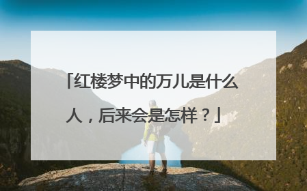红楼梦中的万儿是什么人，后来会是怎样？