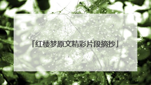 红楼梦原文精彩片段摘抄
