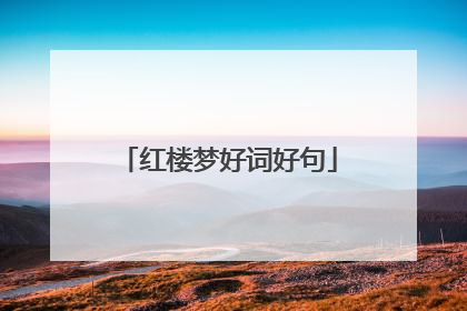 红楼梦好词好句