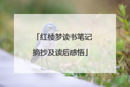 红楼梦读书笔记摘抄及读后感悟