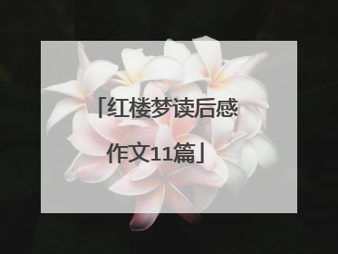 红楼梦读后感作文11篇