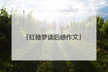 红楼梦读后感作文