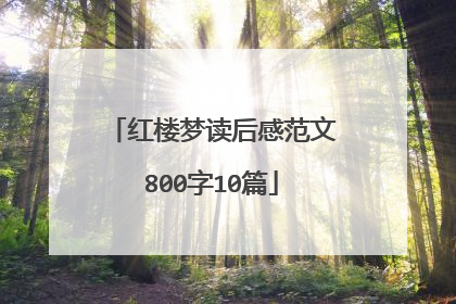 红楼梦读后感范文800字10篇