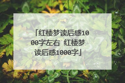 红楼梦读后感1000字左右 红楼梦读后感1000字