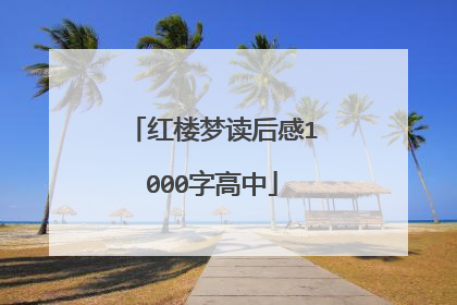 红楼梦读后感1000字高中