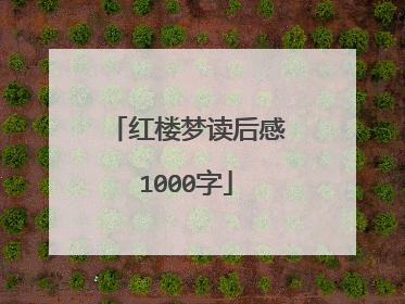 红楼梦读后感1000字