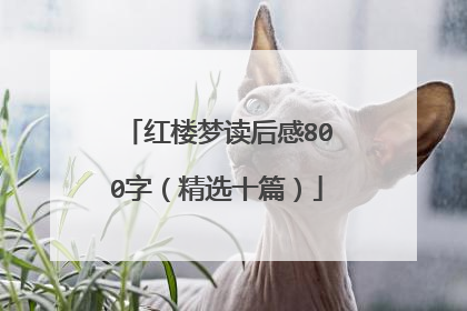 红楼梦读后感800字（精选十篇）