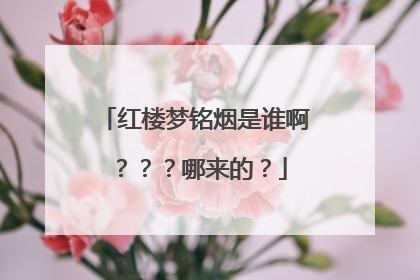 红楼梦铭烟是谁啊？？？哪来的？