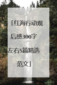 红海行动观后感300字左右5篇精选范文