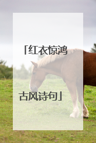 红衣惊鸿古风诗句