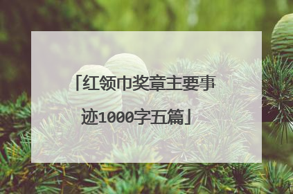 红领巾奖章主要事迹1000字五篇
