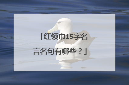 红领巾15字名言名句有哪些？