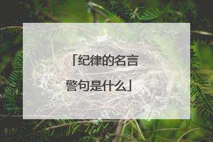 纪律的名言警句是什么