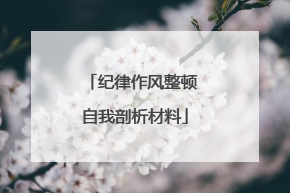 纪律作风整顿自我剖析材料
